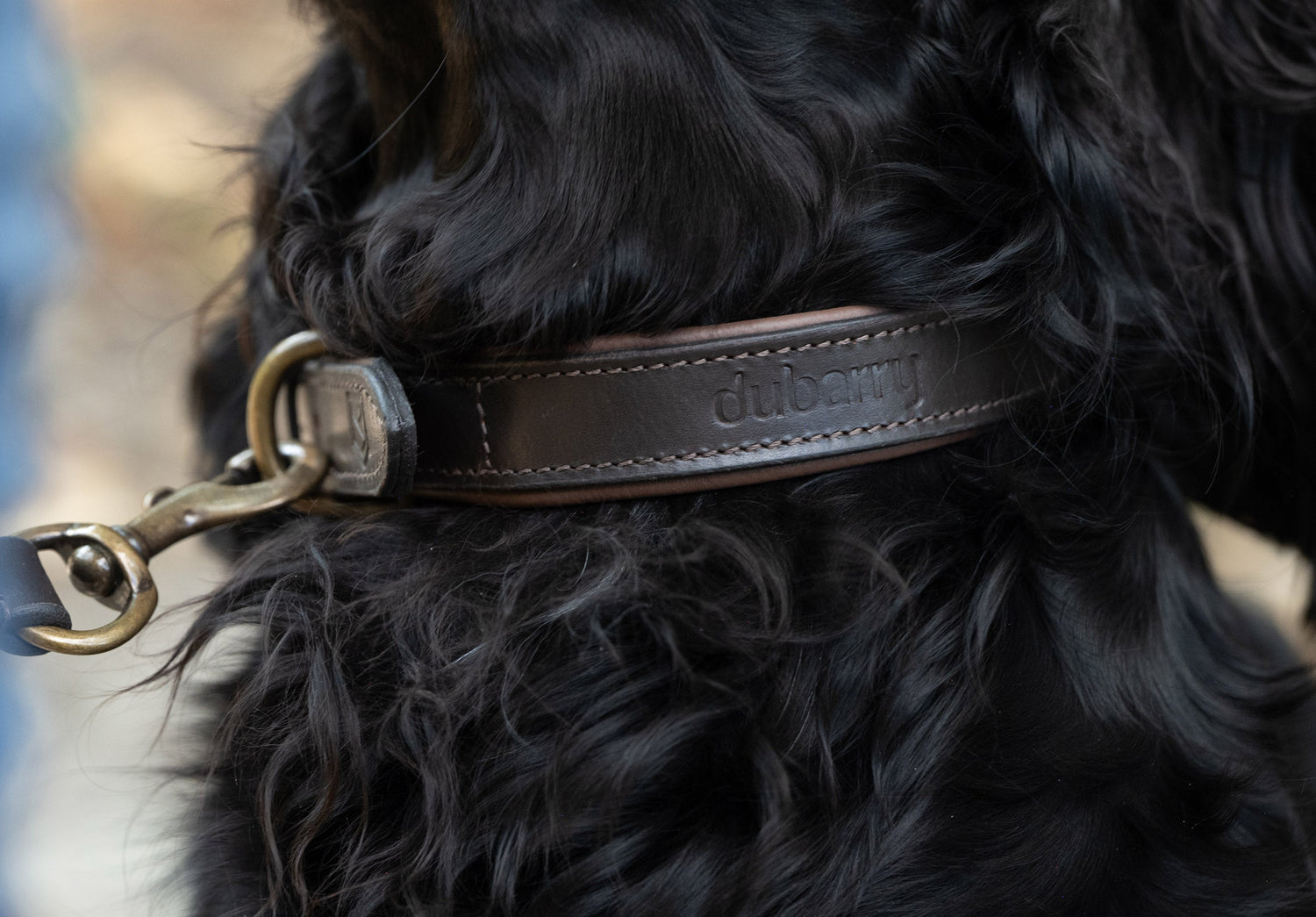 Axel Leather dog collar - Mahogany