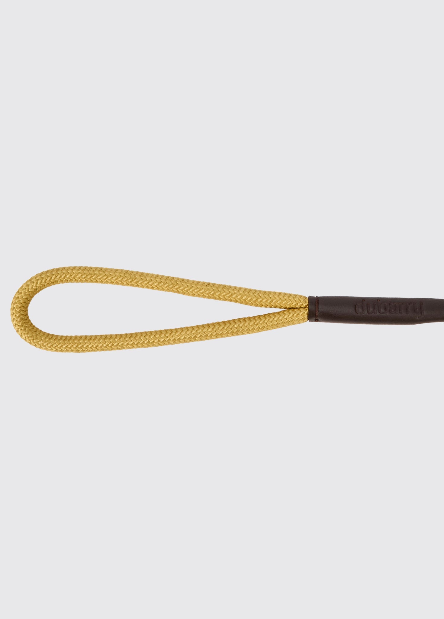 CHARLIE Nylon dog lead - Gold
