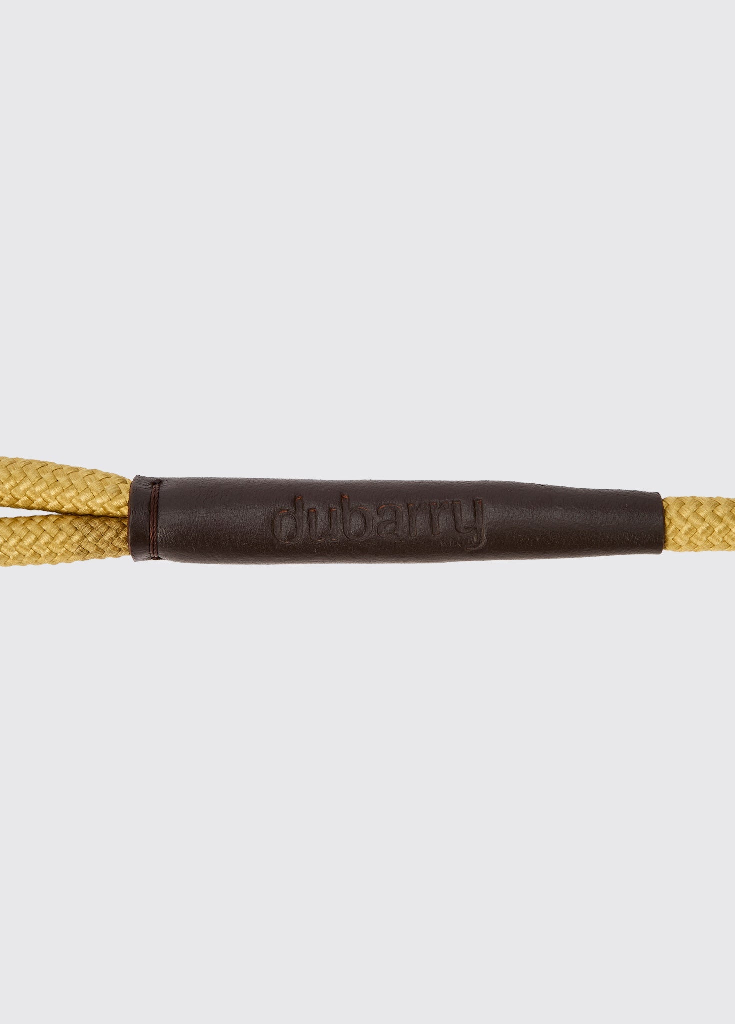 CHARLIE Nylon dog lead - Gold
