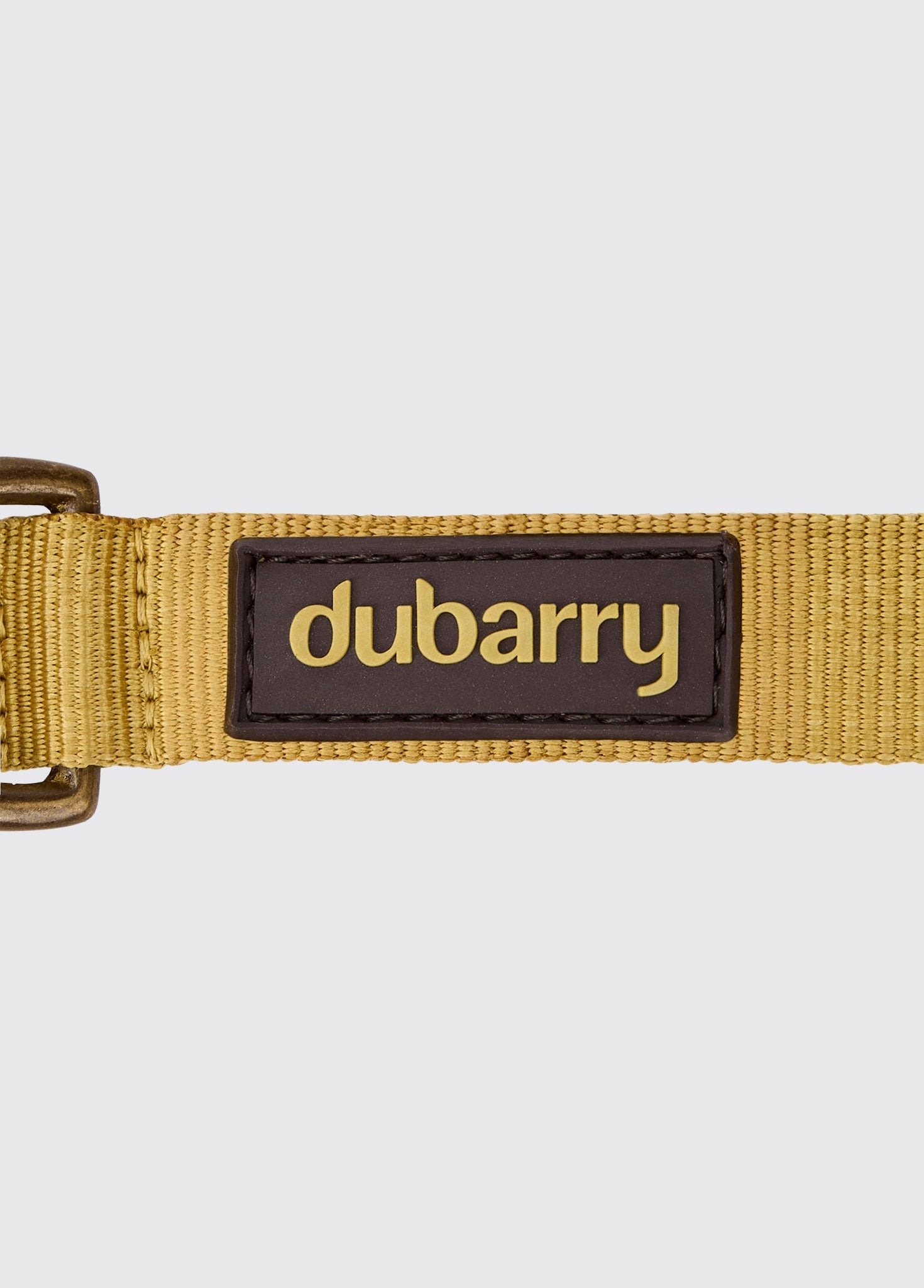 APOLLO Nylon collar for dogs - Gold