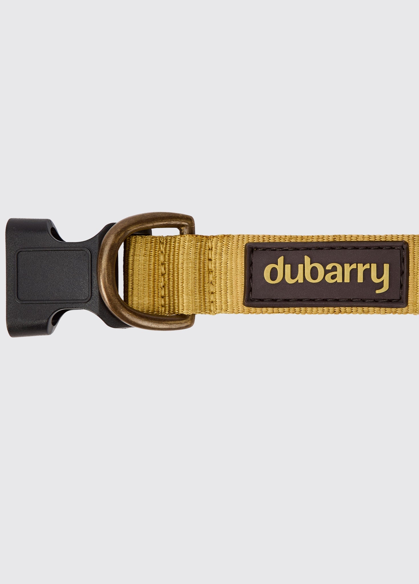 APOLLO Nylon collar for dogs - Gold