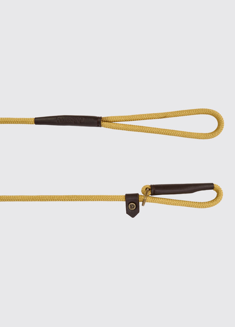 MARLEY Nylon dog lead - Gold
