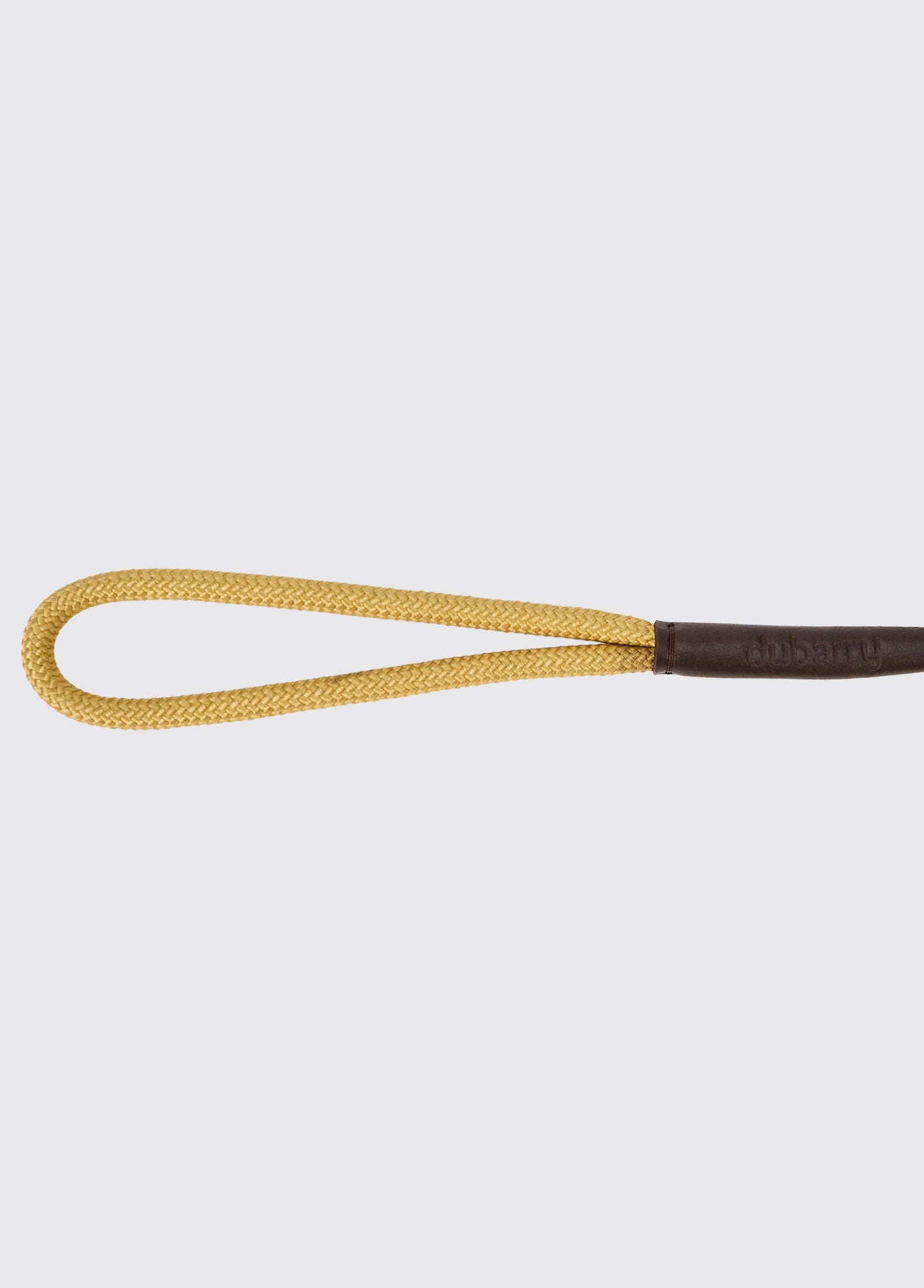 MARLEY Nylon dog lead - Gold