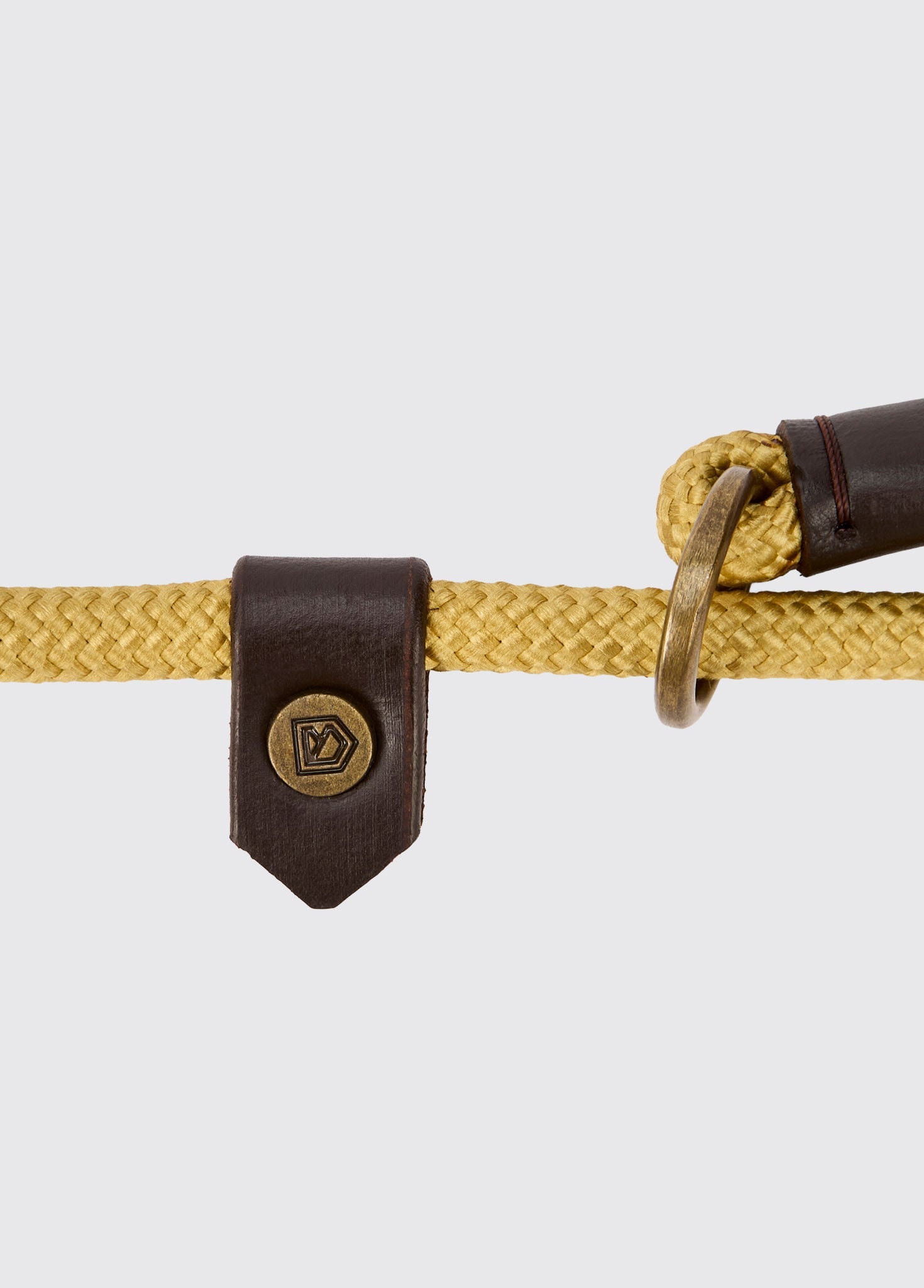 MARLEY Nylon dog lead - Gold