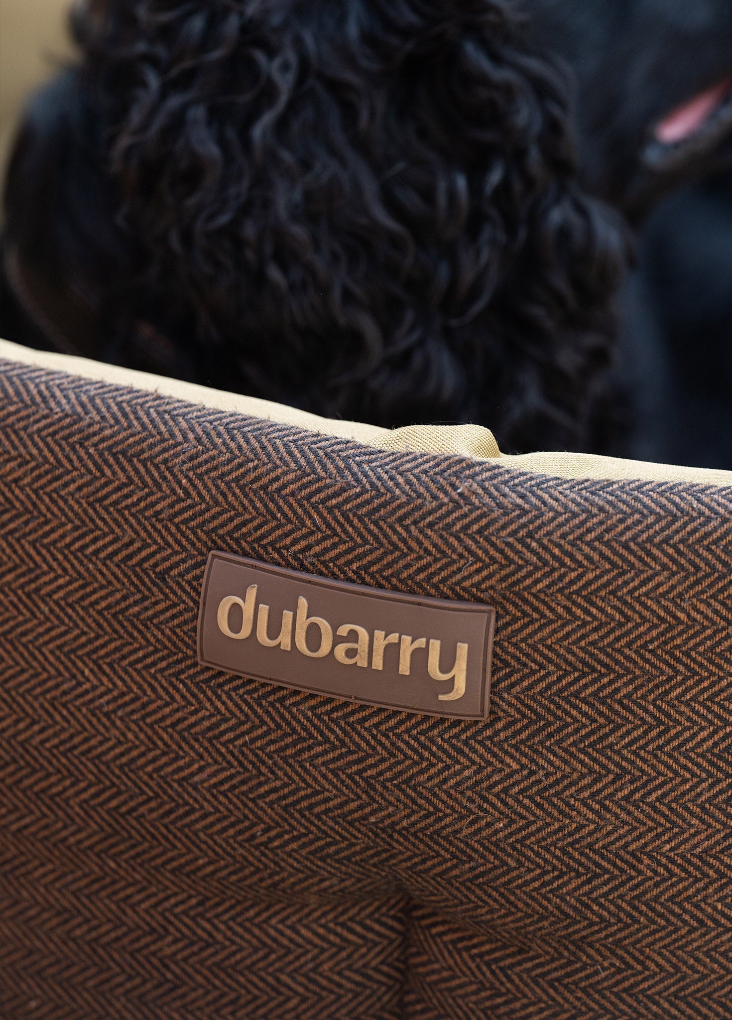 BUSTER Tweed dog bed - Mocha