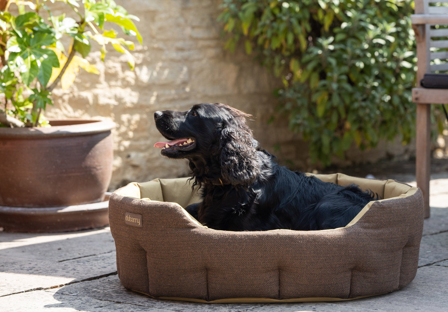 BUSTER Tweed dog bed - Mocha